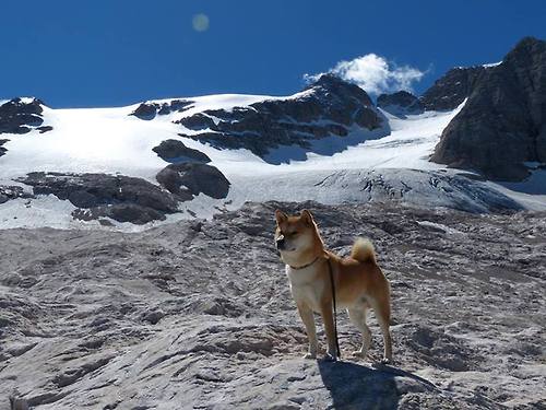 中国篮球裁判职业化升级，争议得以减少，我国篮球裁判员等级包括哪些