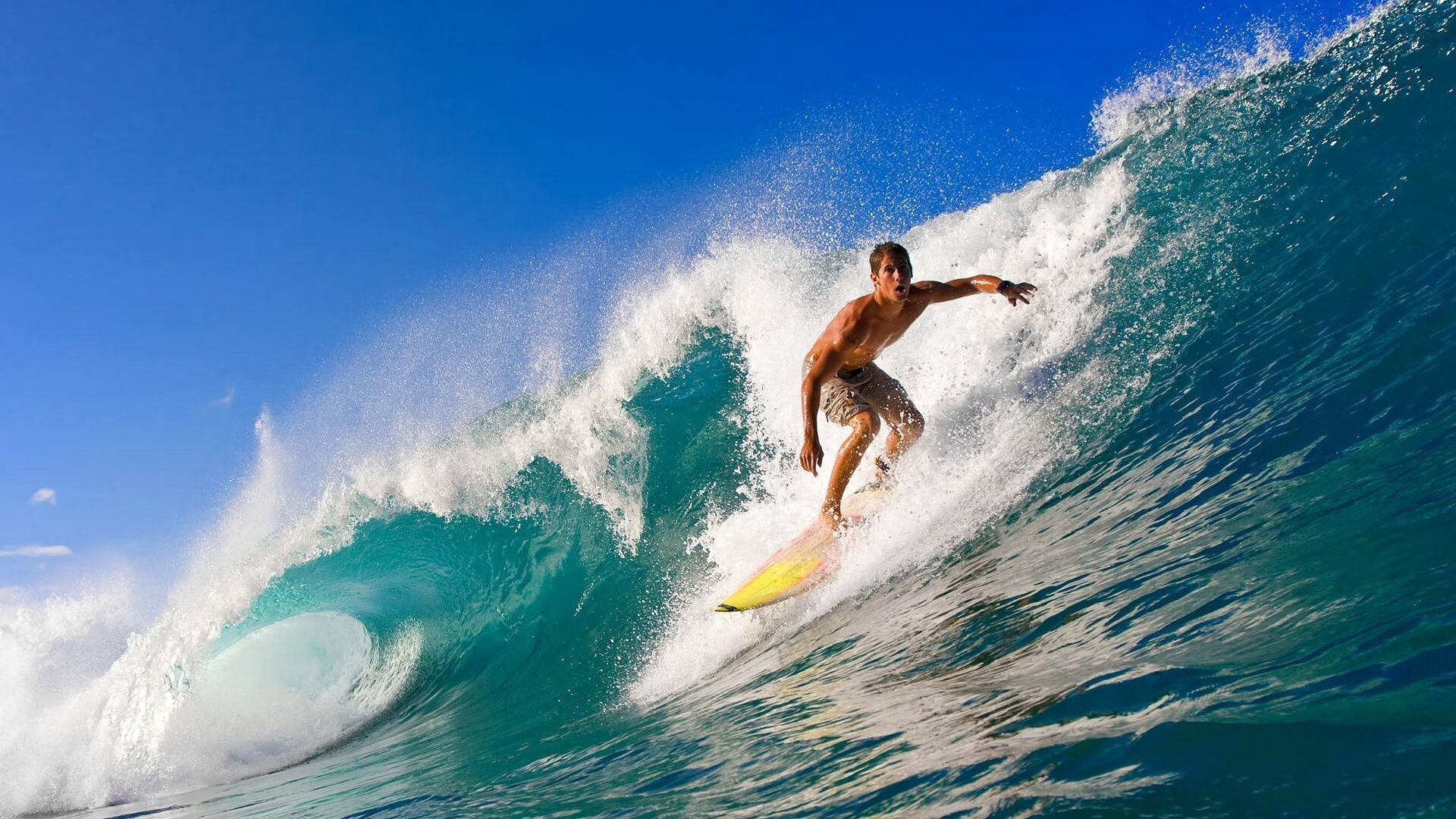 “费尔南多·比亚尔巴：阿根廷橄榄球的新时代表现”