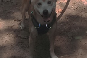 开云体育APP下载-全面升级的智能训练设施助力青少年篮球训练提速，篮球体智能